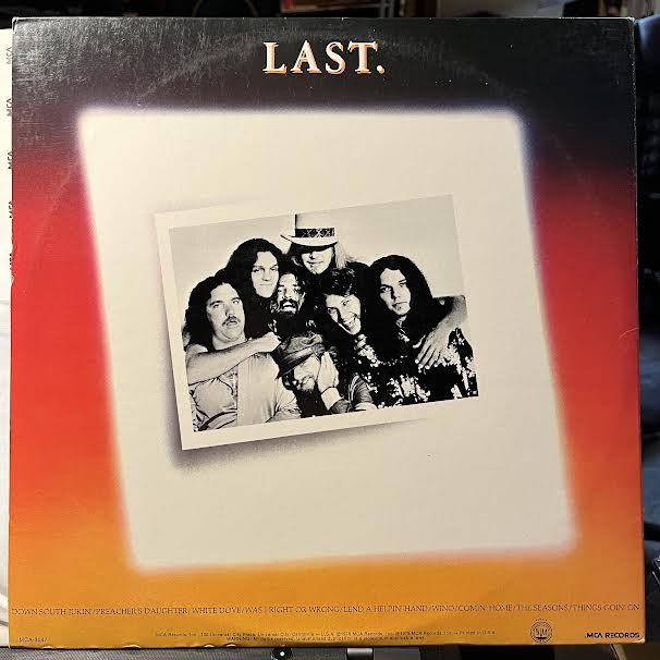 Lynyrd Skynyrd - Skynyrd's First And... Last (VINYL) | Near Mint (NM) Near Mint (NM)