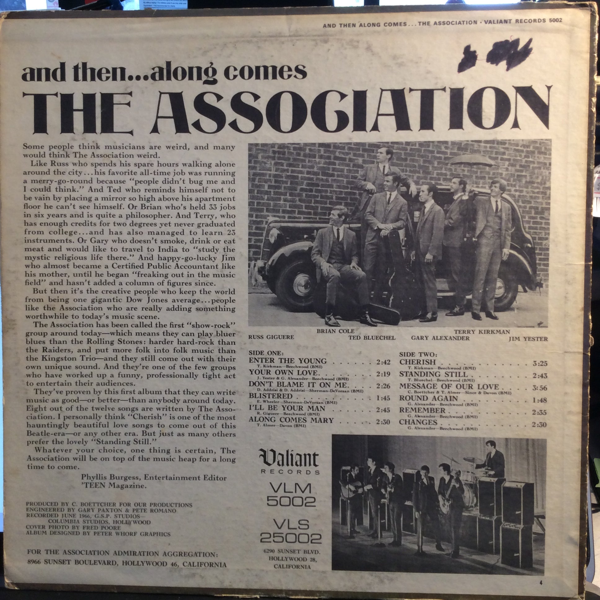 The Association (2) - And Then...Along Comes The Association (VINYL) | Very Good Plus (VG+) Very Good (VG)