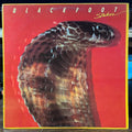 Blackfoot (3) - Strikes (VINYL) | Excellent (EX)