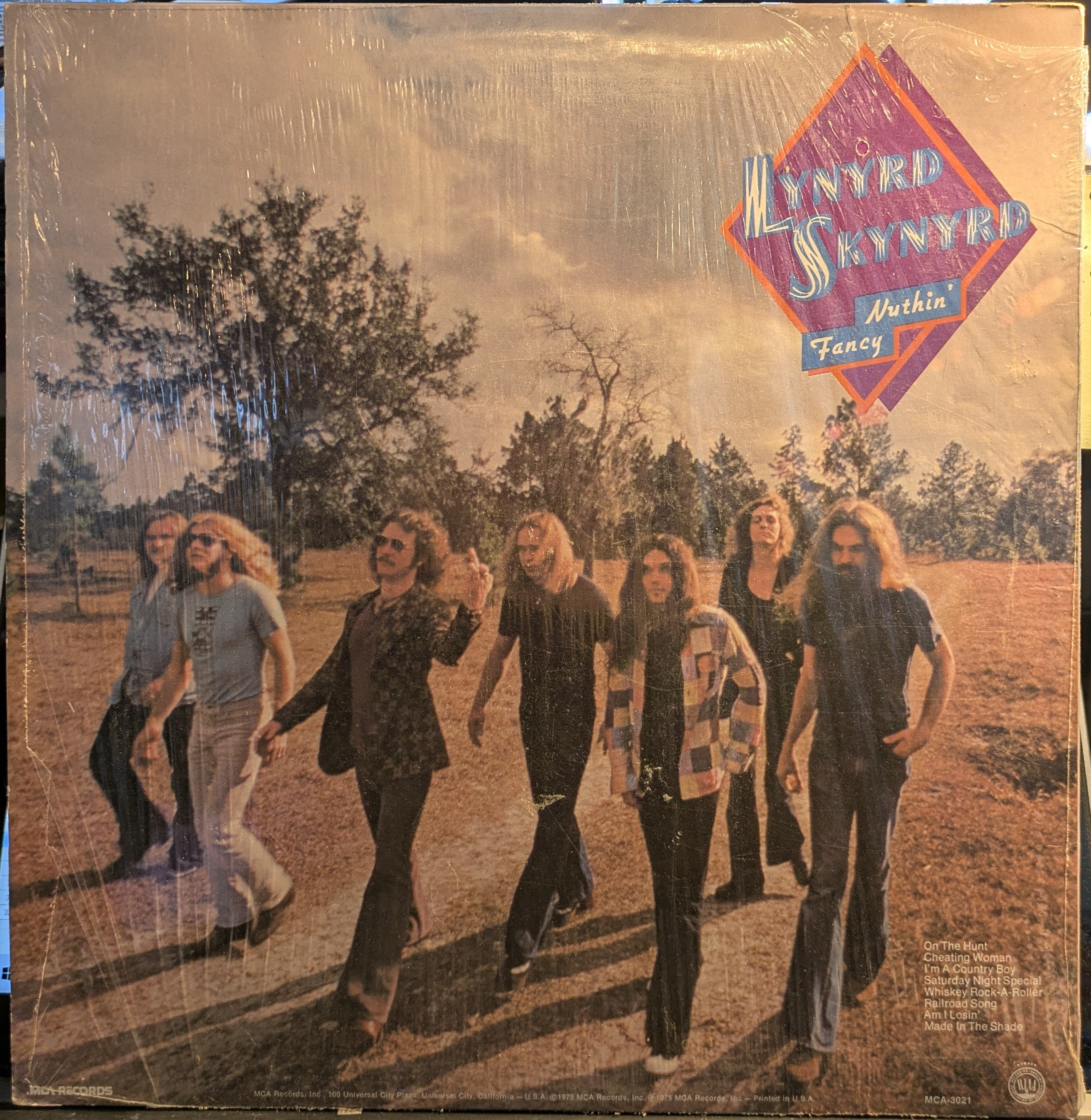 Lynyrd Skynyrd - Nuthin' Fancy (VINYL) | Very Good Plus (VG+) Near Mint (NM)