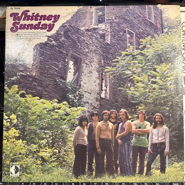 Whitney Sunday - Whitney Sunday (VINYL) | Very Good Plus (VG+) Very Good Plus (VG+)