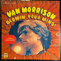 Van Morrison - Blowin' Your Mind! | Very Good (VG) Excellent (EX)