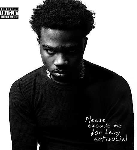 Please Excuse Me For Being Antisocial [Explicit Content] (2 Lp's) | Mint (M) Mint (M)