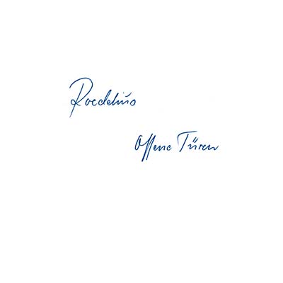 Roedelius - Offene Turen (VINYL) | Mint (M) Mint (M)