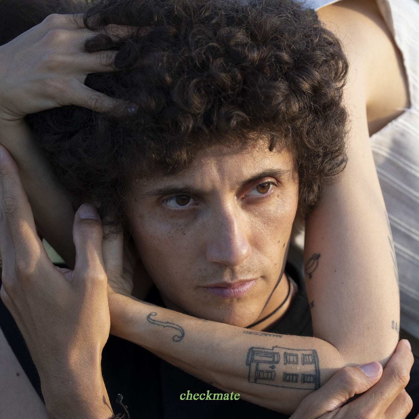 Checkmate (VINYL) | Mint (M) Mint (M)