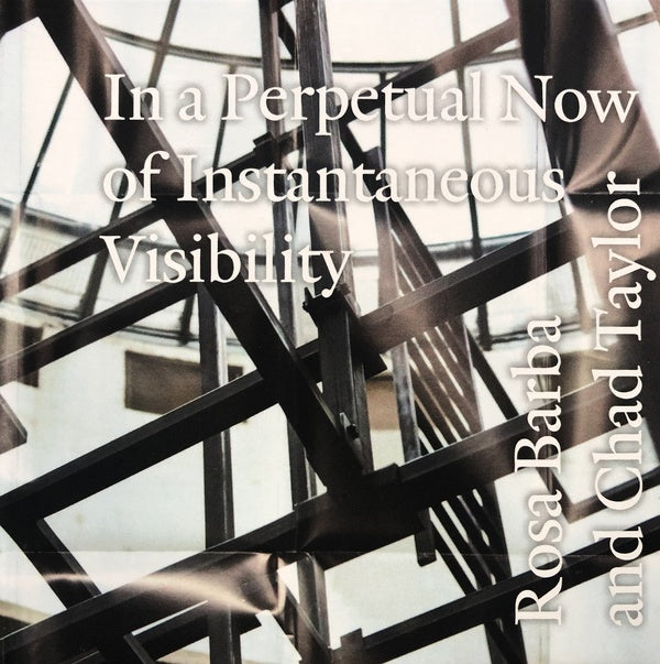 In a Perpetual Now of Instantaneous Visibility |