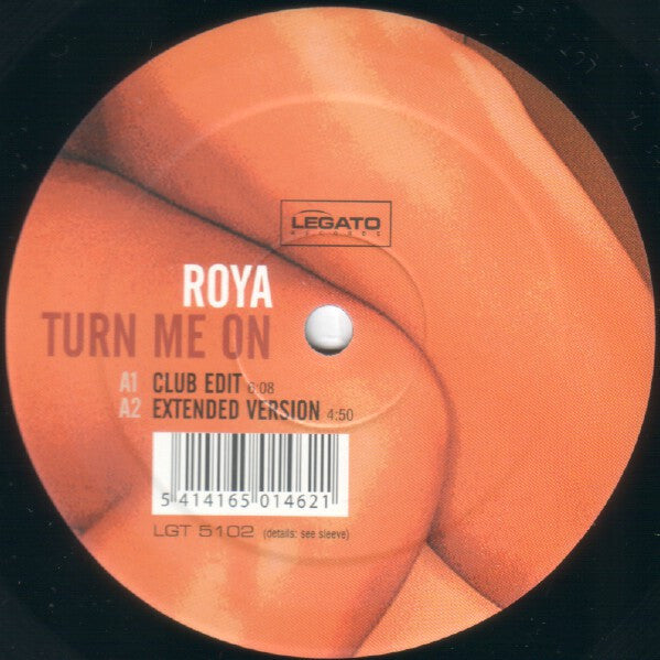 Roya - Turn Me On (VINYL) | Near Mint (NM) Near Mint (NM)