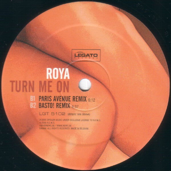 Roya - Turn Me On (VINYL) | Near Mint (NM) Near Mint (NM)
