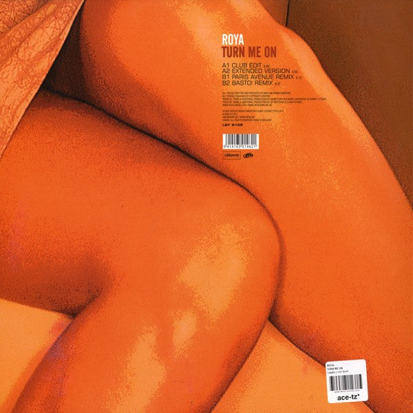 Roya - Turn Me On (VINYL) | Near Mint (NM) Near Mint (NM)