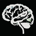 Brain Flakes (The Lost Combo Tapes) |