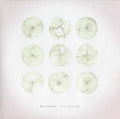 Field Drawings |