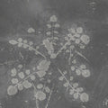 Music For Melted Floors |