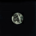 Earth Wart EP |