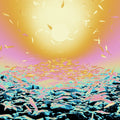 East Dimensional Riddims |