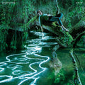 Songdreaming (CD) | Mint (M) Mint (M)