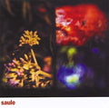 Saule |