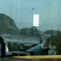 Swallow |