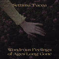 Wondrous Feelings of Ages Long Gone |