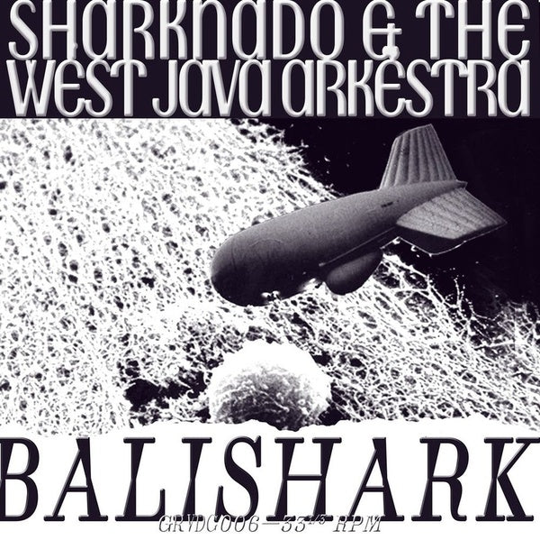 Balishark |