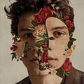 Shawn Mendes - Shawn Mendes (Standard Edition) | Mint (M) Mint (M)