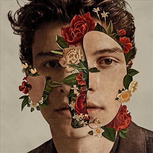 Shawn Mendes - Shawn Mendes (Standard Edition) | Mint (M) Mint (M)