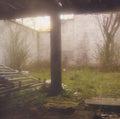 Slow Death Process |