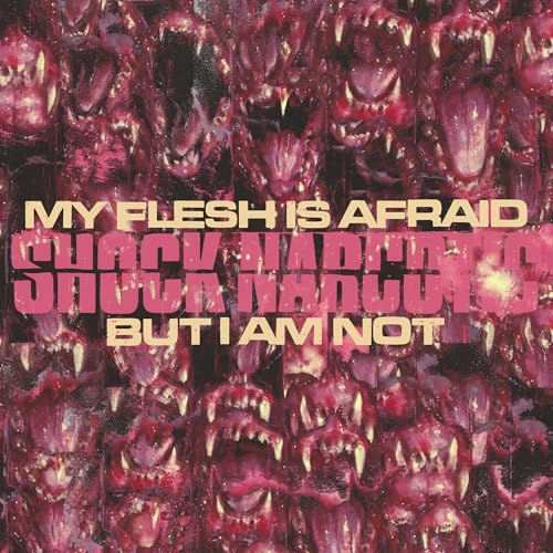 My Flesh Is Afraid But I Am Not *PRE-ORDER 7/18/25* (VINYL) | Mint (M) Mint (M)