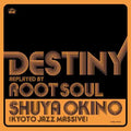 Destiny Replayed By Root Soul |