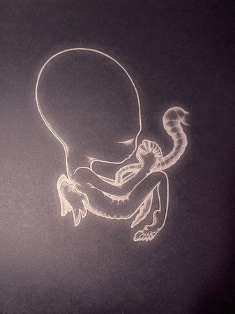 Sigur Rós - Ágætis Byrjun (COLOR VINYL - VMP) | Mint (M) Mint (M)