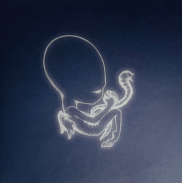 Sigur Rós - Ágætis Byrjun (COLOR VINYL - VMP) | Mint (M) Mint (M)