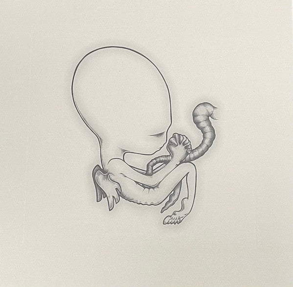 Sigur Rós - Ágætis Byrjun (COLOR VINYL - VMP) | Mint (M) Mint (M)