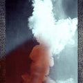 Bunny |