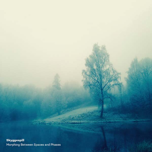 Morphing Between Spaces and Phases (VINYL + CD) | Mint (M) Mint (M)