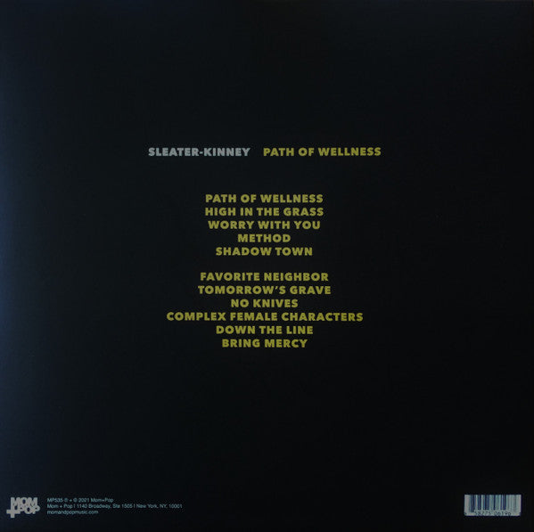 Path Of Wellness (VINYL) | Mint (M) Mint (M)
