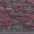 Even In Arcadia (CD) |