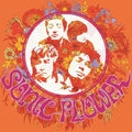 Sonic Flower |