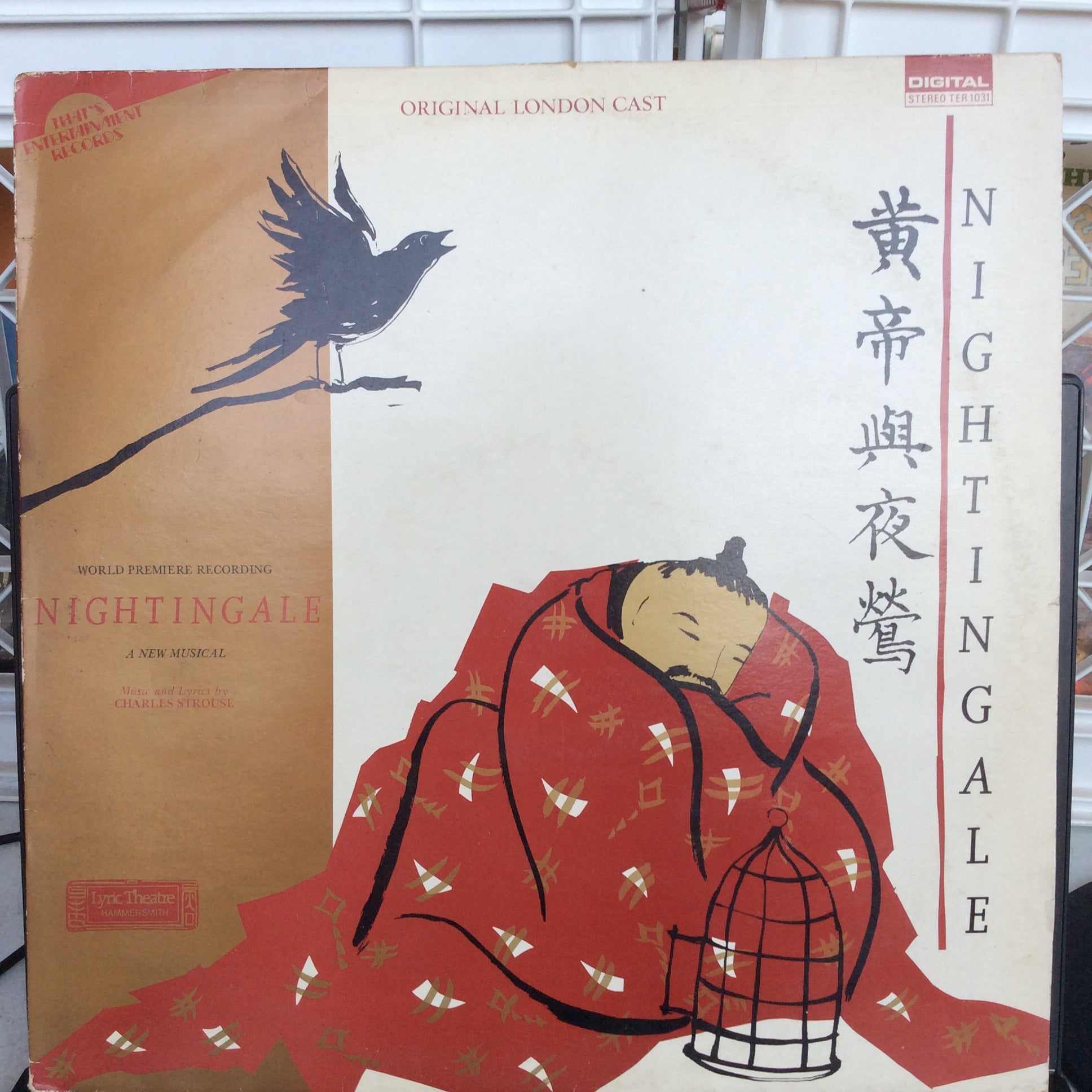 Nightingale (VINYL) | Excellent (EX) Very Good Plus (VG+)