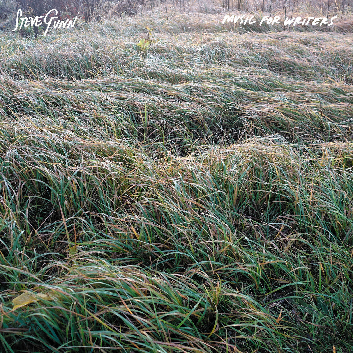 Music For Writers |