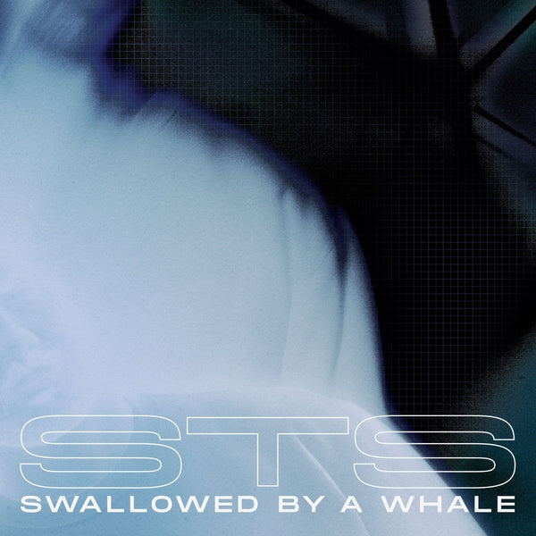 Swallowed By A Whale |