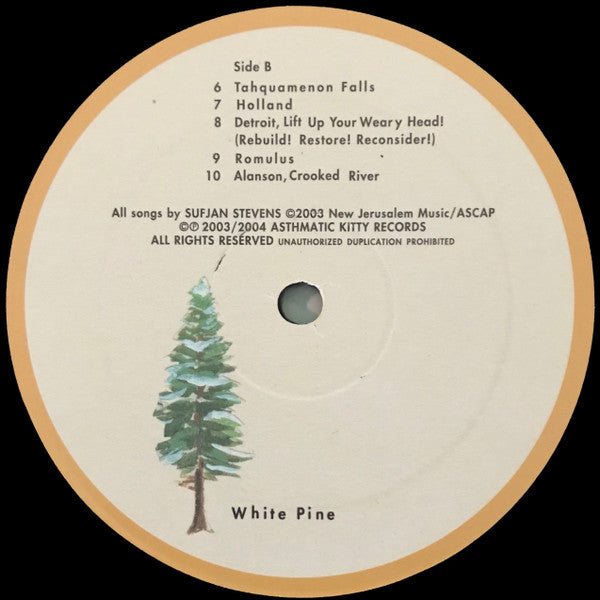 Sufjan Stevens - Greetings From Michigan: The Great Lake State | Mint (M) Mint (M)