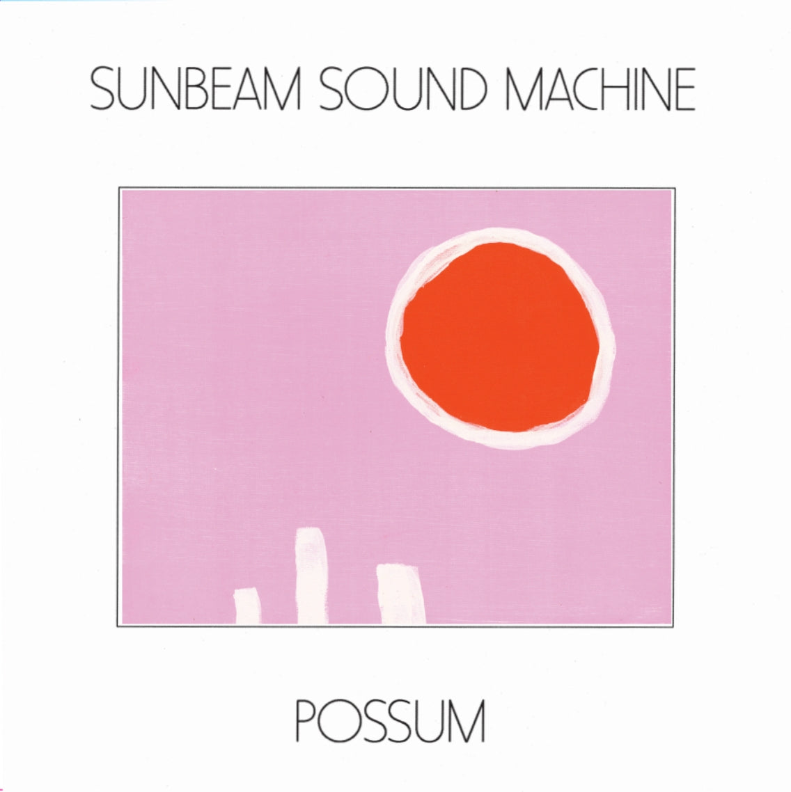 Possum |