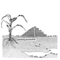 SWEARING AT MOTORISTS - Swearing At Motorists (VINYL) | Mint (M) Mint (M)