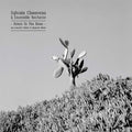 Down to the Bone (An Acoustic Tribute to Depeche Mode) |