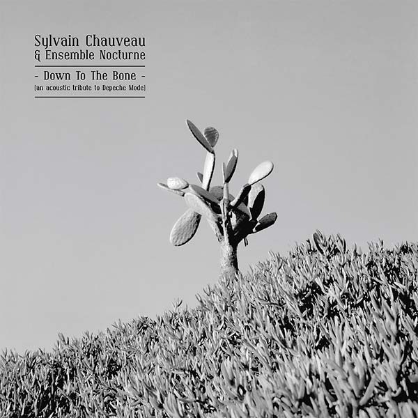 Down to the Bone (An Acoustic Tribute to Depeche Mode) |