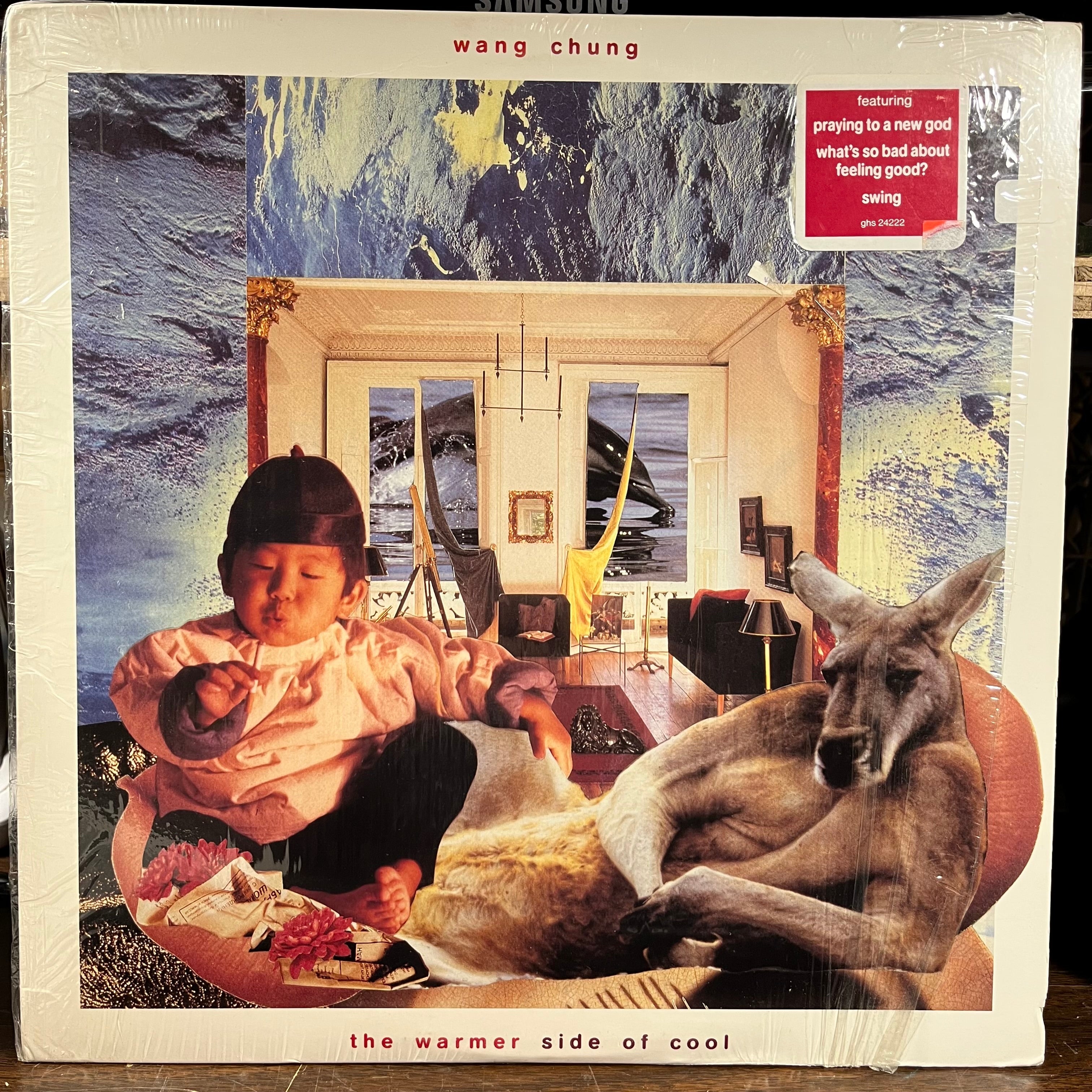 The Warmer Side Of Cool (VINYL) | Near Mint- (NM-) Near Mint (NM)