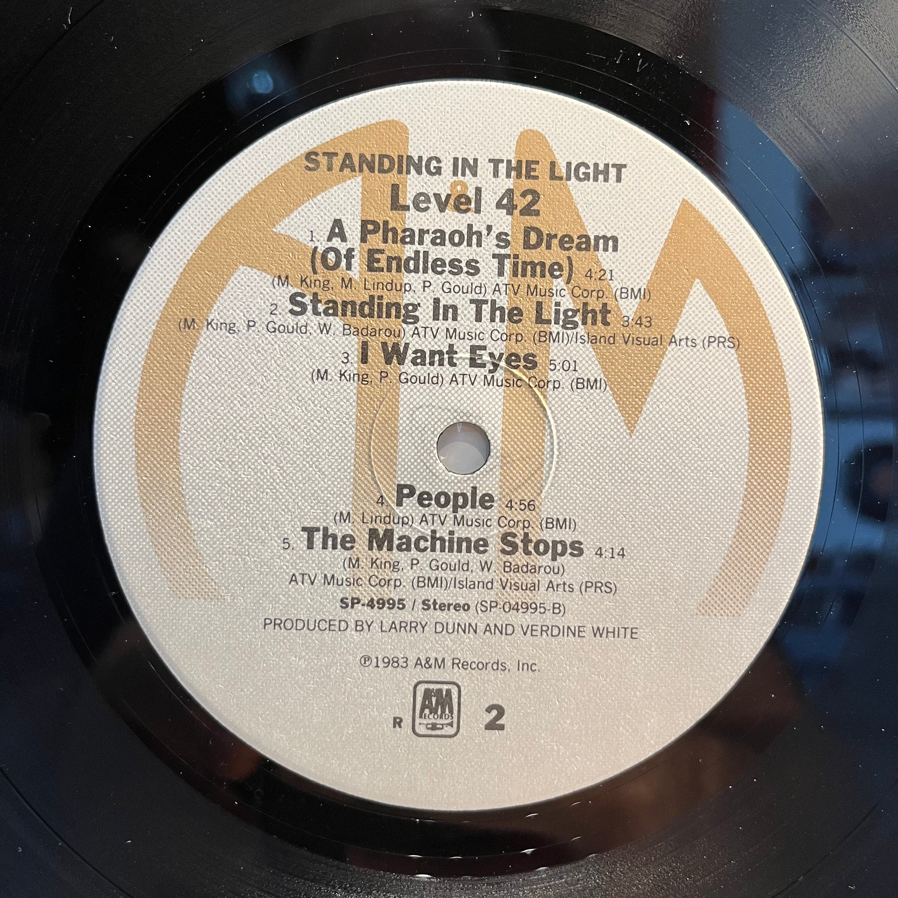 Level 42 - Standing In The Light (VINYL) | Near Mint (NM) Near Mint (NM)