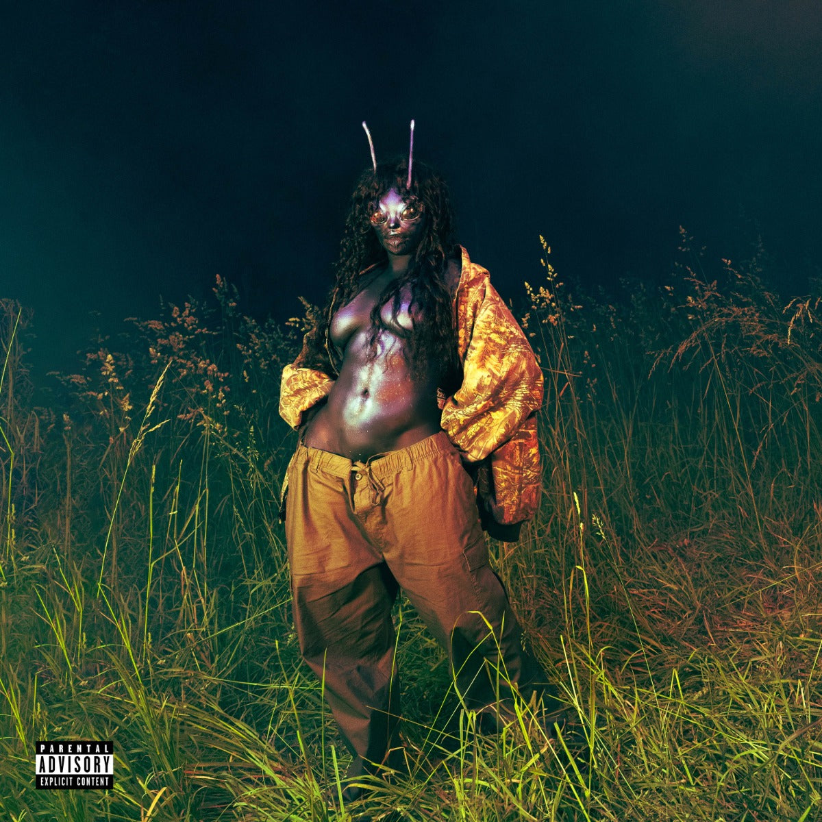 SZA - SOS Deluxe: Lana (4xVINYL) | Mint (M) Mint (M)
