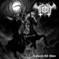 Catharsis Till Dawn |