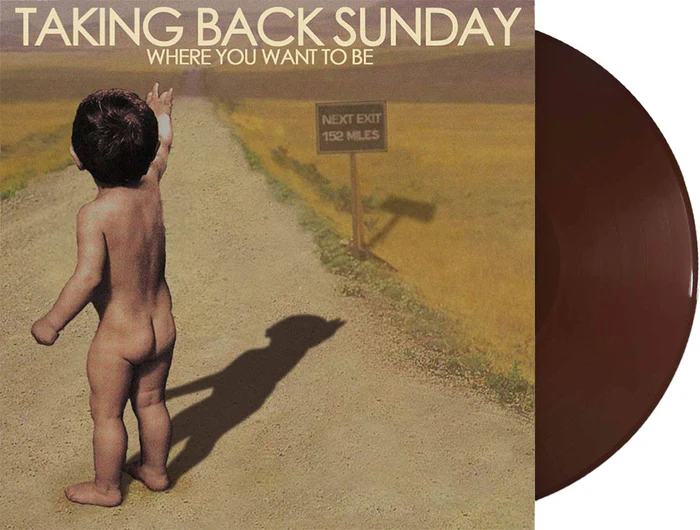 Where You Want to Be (Indie Exclusive, Limited Edition, Brown Vinyl) | Mint (M) Mint (M)