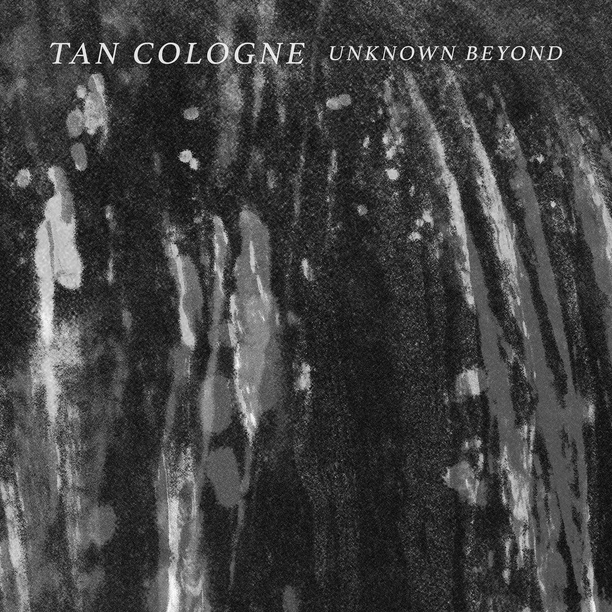 Unknown Beyond [Lp] |